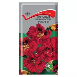 семена Настурция низкорослая махагони 1г