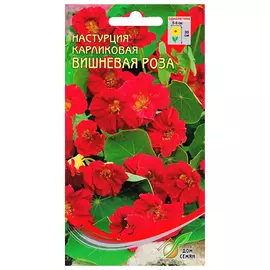 семена Настурция Вишневая Роза 8шт карликовая