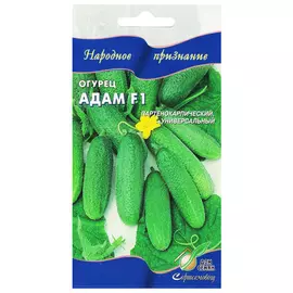 семена Огурец Адам F1 6шт