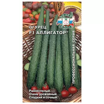 семена огурец Аллигатор СЕДЕК F1 Евро 0,2г