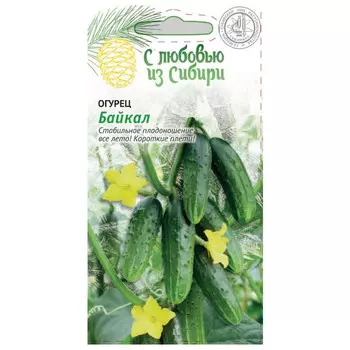 семена огурец Байкал 0,25 г