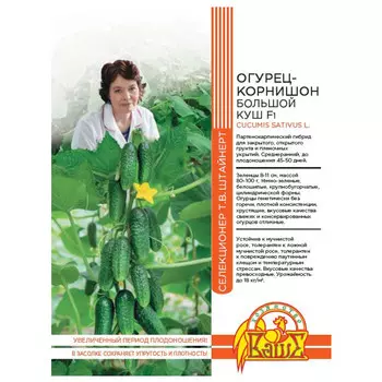 семена Огурец Большой куш 10шт селекция Штайнерт