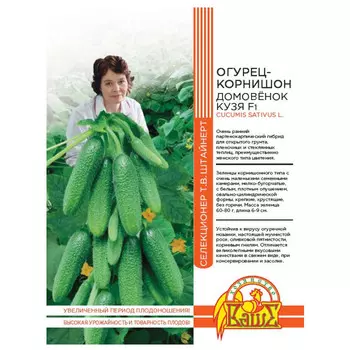 семена огурец Домовёнок Кузя 10шт селекция Штайнерт