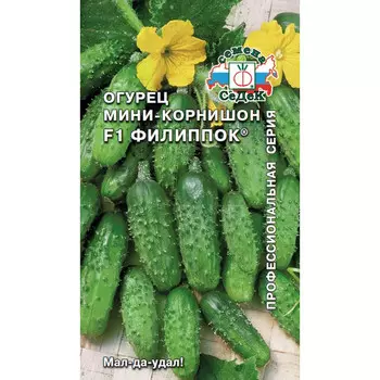 семена огурец Филиппок СЕДЕК F1, Евро, 0,3