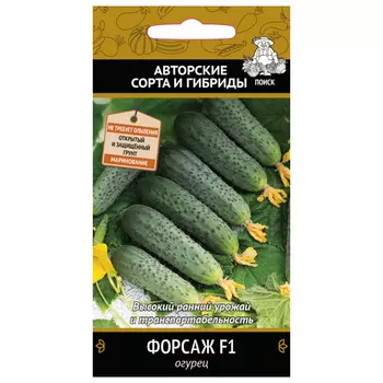 семена огурец Форсаж ПОИСК F1 12шт