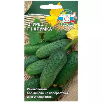 семена огурец Хрумка СЕДЕК F1 0,3г