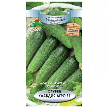 семена огурец Клавдия агро ПОИСК F1 12шт среднеспелый