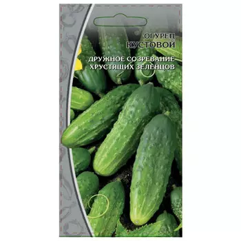 семена огурец Кустовой 0,25г