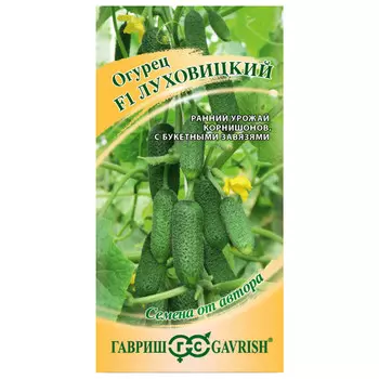 семена огурец Луховицкий ГАВРИШ F1 10шт корнишон авторские