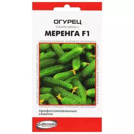 семена Огурец Меренга F1 6шт