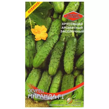 семена огурец Миранда ДОМ СЕМЯН F1 0,2г