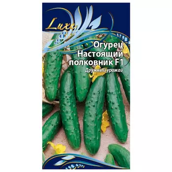 семена огурец Настоящий полковник F1 0,25г