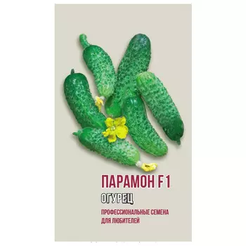 семена огурец Парамон АГРОНИ F1 5шт