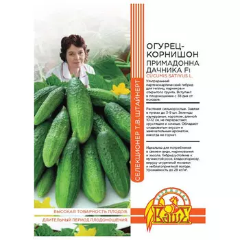 семена Огурец Примадонна Дачника 10шт селекция Штайнерт