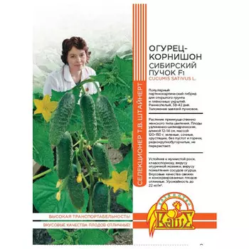 семена Огурец Сибирский пучок 8шт селекция Штайнерт