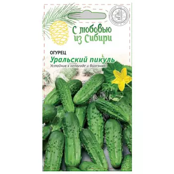 семена огурец Уральский пикуль 0,25г