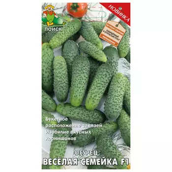 семена огурец Веселая семейка ПОИСК F1 12шт