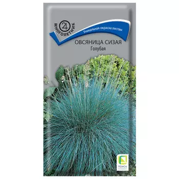 семена Овсяница сизая Голубая ПОИСК 0,1г
