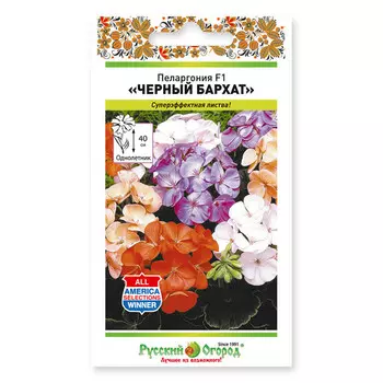 семена Пелар гония Черный бархат смесь 5 шт