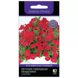 семена Петуния Пендолино Скарлет 5шт