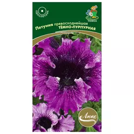 семена Петуния превосходнейшая темно-пурпурная 10шт
