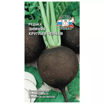 семена редька Зимняя Круглая Черная Евро СЕДЕК 2г