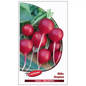 семена редис Аскания АГРОНИ 2г