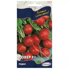 семена Редис Ровер F1 50шт