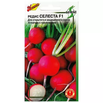 семена редис Селеста ДОМ СЕМЯН F1 2г