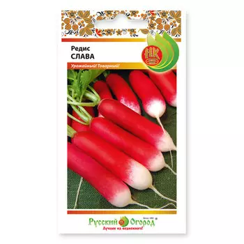 семена редис Слава 3 г