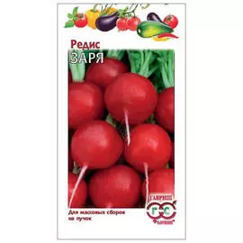 семена Редис заря 3г