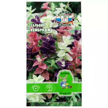 семена Сальвия Кэмбридж хорминовая смесь СЕДЕК 0,1г