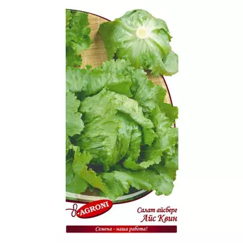 семена салат Айс квин Айсберг АГРОНИ 0,5г