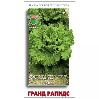 семена салат Гранд Рапидс ПОИСК 1г