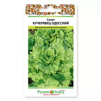 семена салат кочанный Кучерявец одесский 1 г