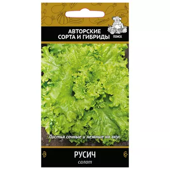 семена салат Русич ПОИСК 1г