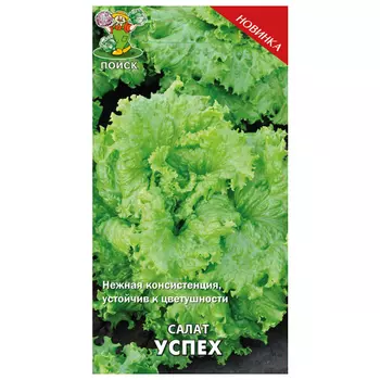 семена салат Успех ПОИСК 1г