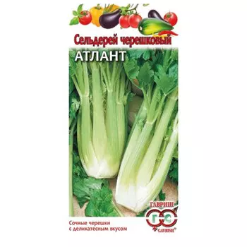 семена Сельдерей черешковый Атлант 0,3г