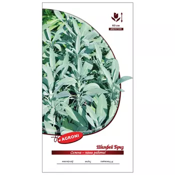 семена шалфей Бриз АГРОНИ 0,2г