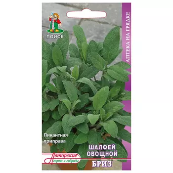 семена Шалфей овощной Бриз ПОИСК 0,5г