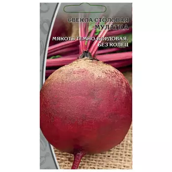 семена Свекла Мулатка 2г