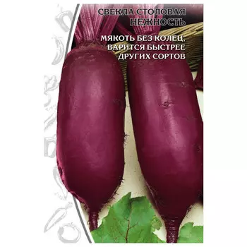 семена свекла Нежность 2г