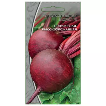 семена свекла Пабло F1 1г
