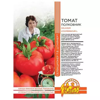 семена Томат Полковник 20шт селекция Штайнерт