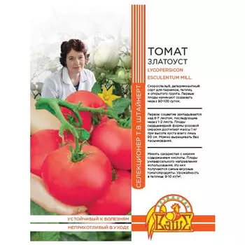 семена Томат Златоуст 20шт селекция Штайнерт