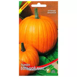 семена Тыква Большой Макс 7шт