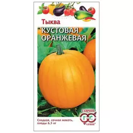семена Тыква Кустовая оранжевая 1г