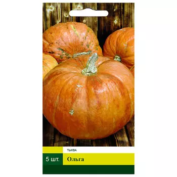семена Тыква Ольга 5шт