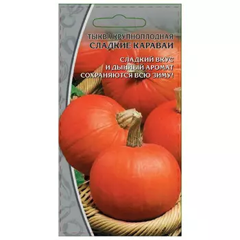 семена тыква Сладкие караваи крупноплодная 2г