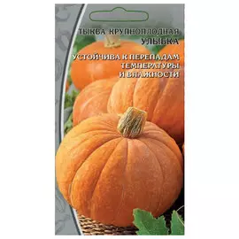 семена Тыква Улыбка крупноплодная 2г